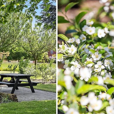 Fy285-faaborg-egsgyden-35 Feriehus Faaborg