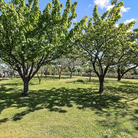 Fy285-faaborg-egsgyden-35 Feriehus *